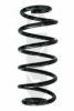 SPIDAN 86843 Coil Spring